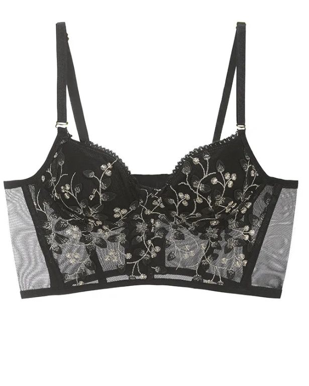 Embroidered Lace and Steel Bone Overlay French Lingerie Bra Set