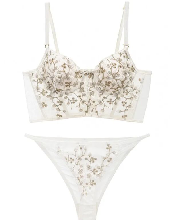 Embroidered Lace and Steel Bone Overlay French Lingerie Bra Set